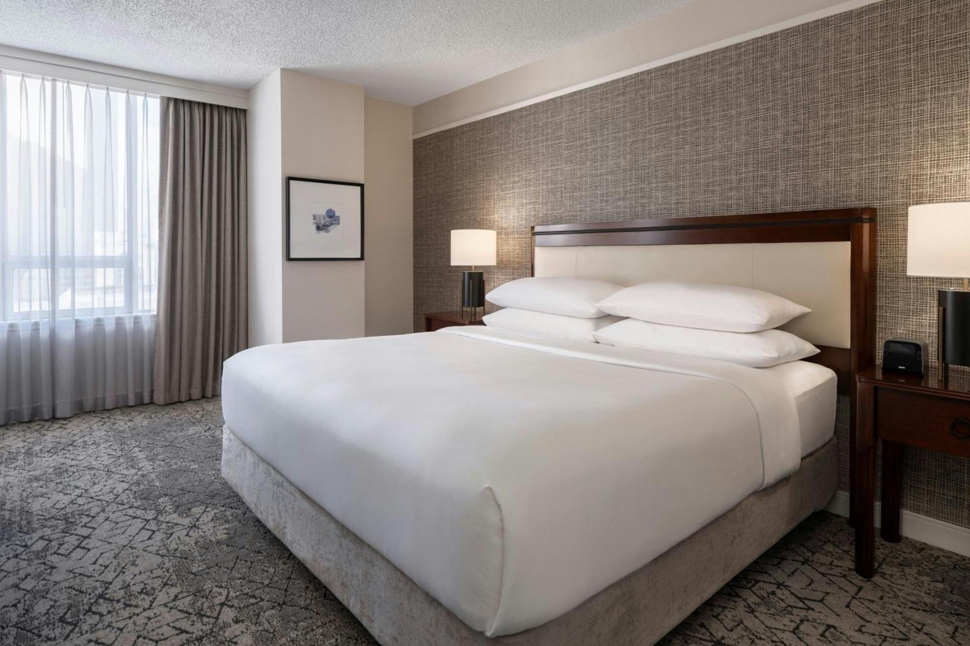 Junior Suite 1 King Sofa bed City view
