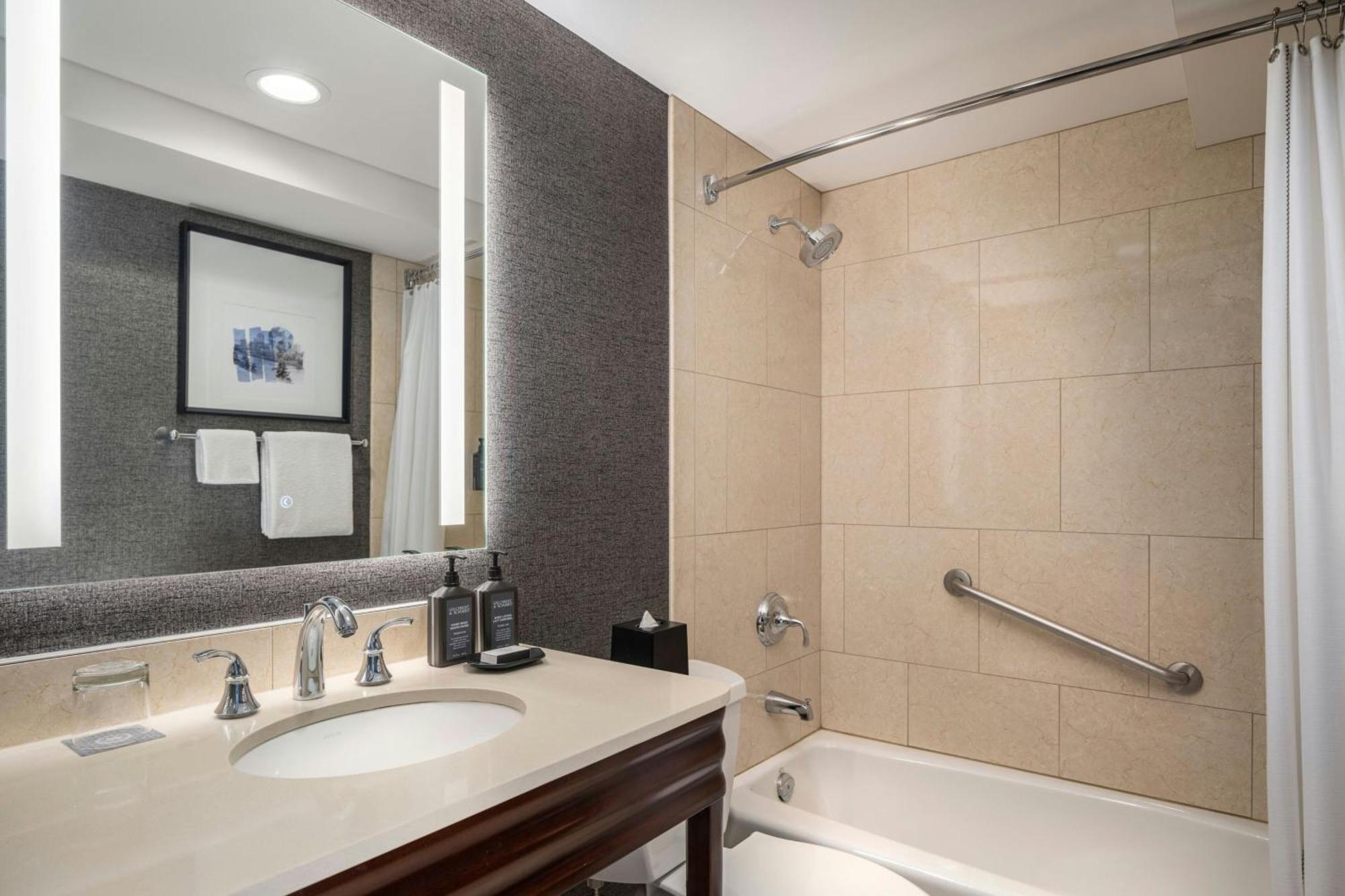 1 Bedroom Suite 1 King Sofa bed Garden view