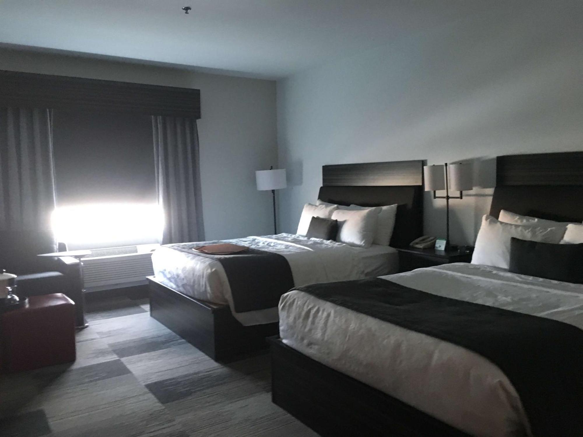 Queen Room with Two Queen Beds and Sofa Bed - Kitchen